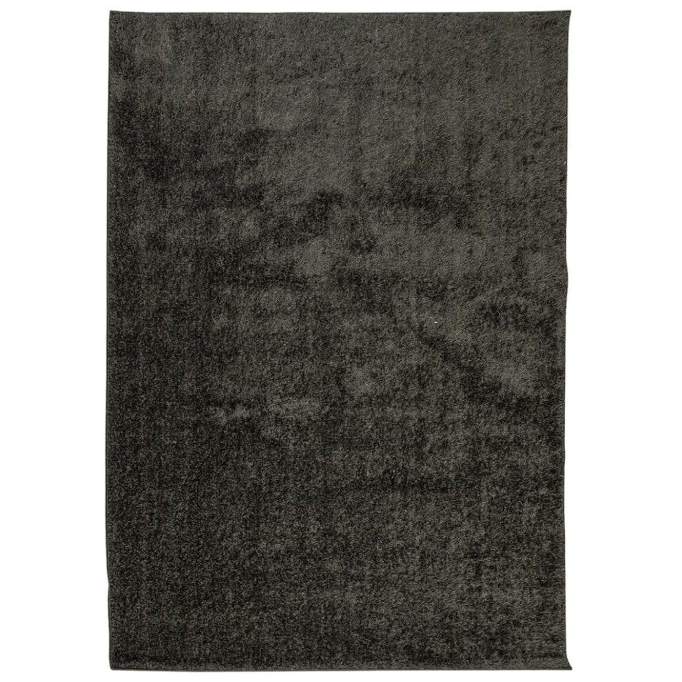 Vidaxl Rug Shaggy Rug Fluffy Area Rug Istan High Pile Shiny Look Anthracite