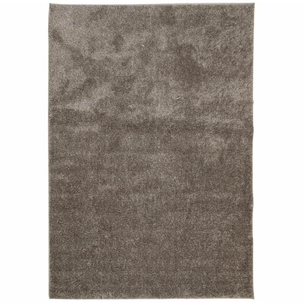 vidaXL Rug Shaggy Rug Fluffy Area Rug Soft ISTAN High Pile Shiny Look Grey