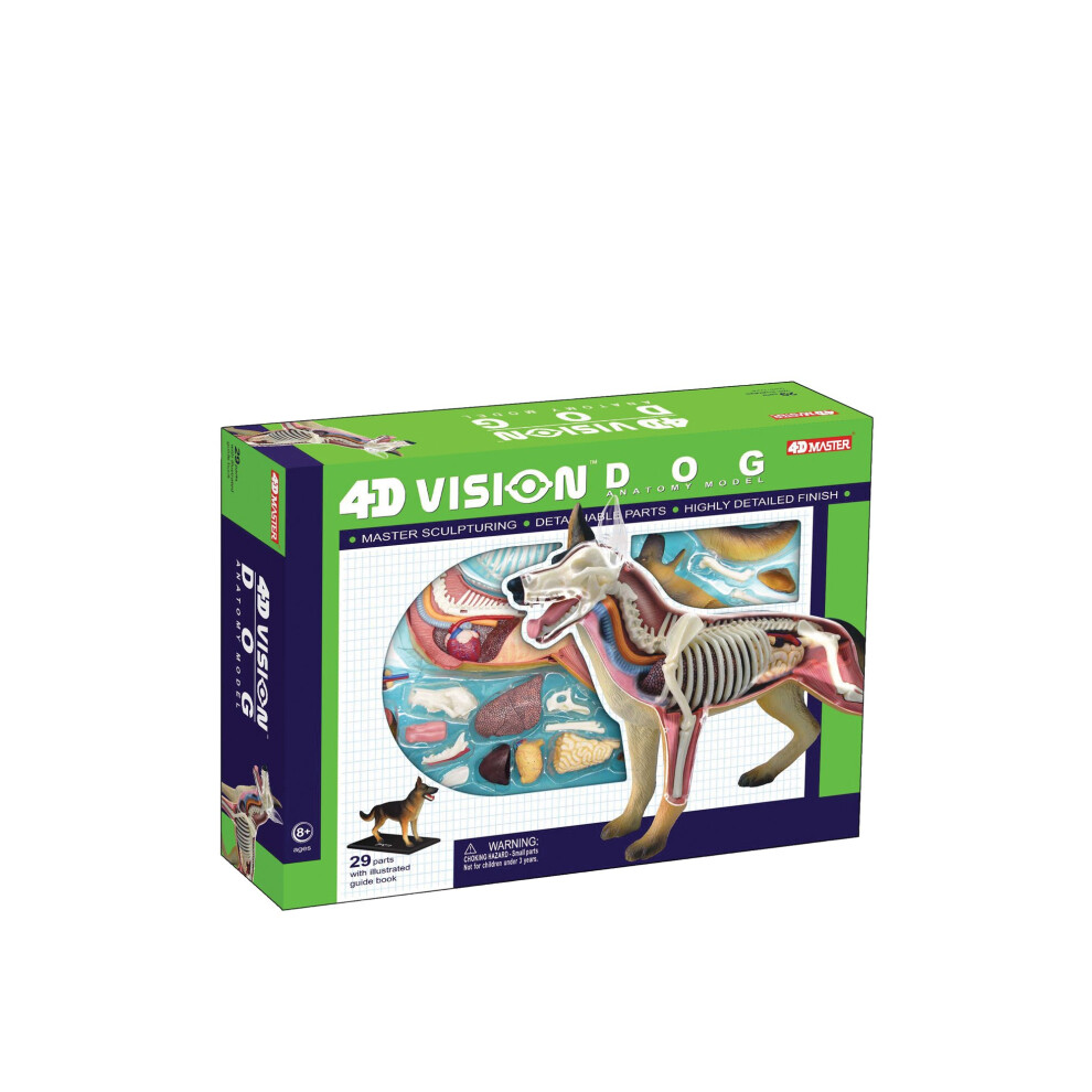 Tedco 4D Vision Dog Anatomy Model