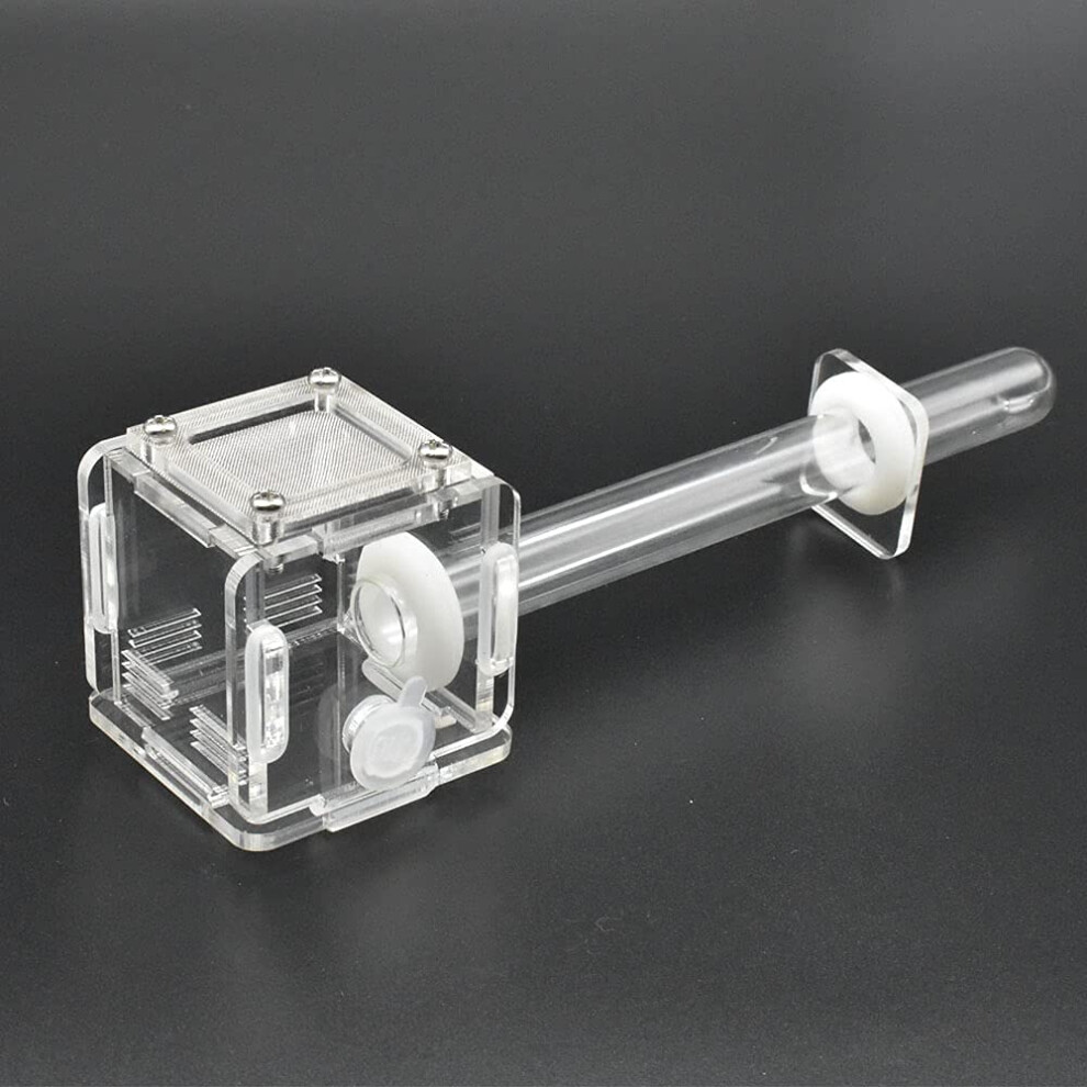 Yqsdg Nido Di Formiche In Acrilico Trasparente Mini Nido Di Formiche In Vetro Tubo Per Esperimenti Agricoli Piccola Area Di Alimentazione Per Col-image