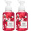 Bath & Body Works Bath & Body Works, Απαλό Σαπούνι Χεριών με Αφρό. Ιαπωνική Άνθη Κερασιάς (2-Pack) 1