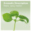 doTERRA doTERRA - Basil Essential Oil - 15 mL 3