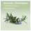 doTERRA doTERRA - Rosemary Essential Oil - 15 mL 3