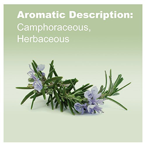 doTERRA doTERRA - Rosemary Essential Oil - 15 mL 2