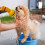 Garden Hose Pipe Spray Gun,10 Adjustable Patterns Hose Nozzle 3