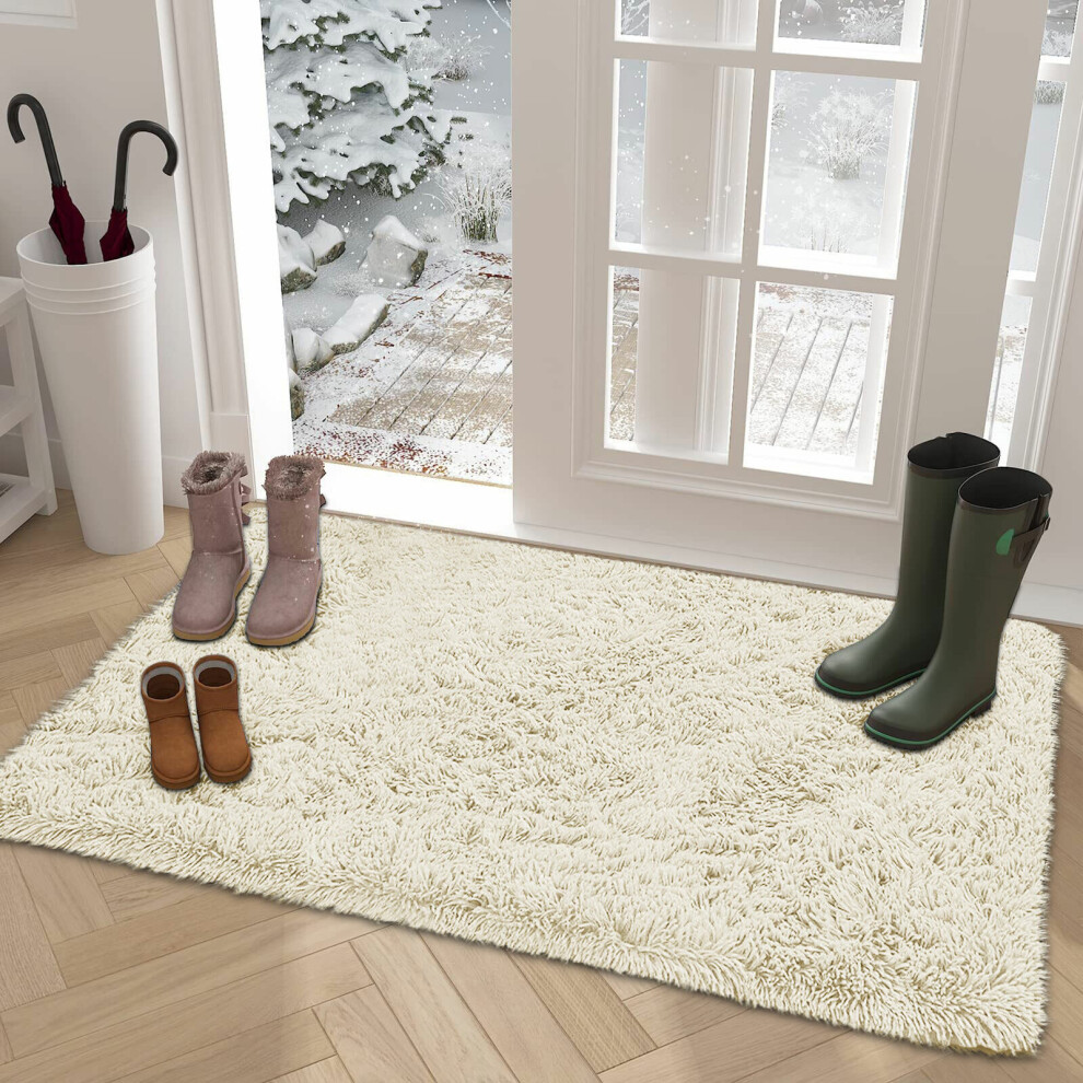 (Cream, 60cm x 110cm (2ft x 3ft 7")_Door Mat) Thick Shaggy Rugs Living Room Indoor Outdoor Area Rugs Non Slip Runner Rugs
