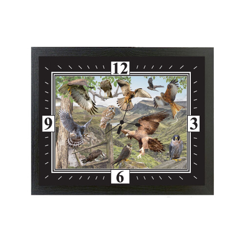 British Birds Of Prey Wall Clock Gift