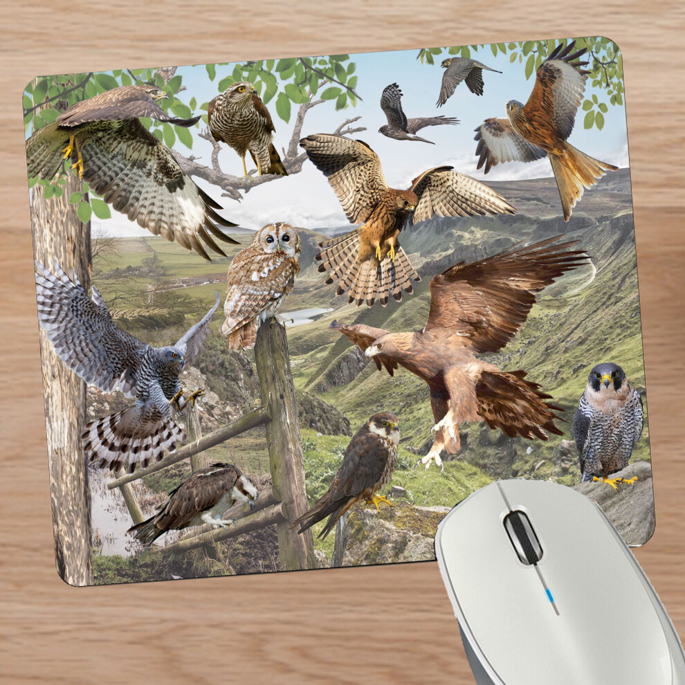British Birds Of Prey Mouse Mat Gift 731722912929