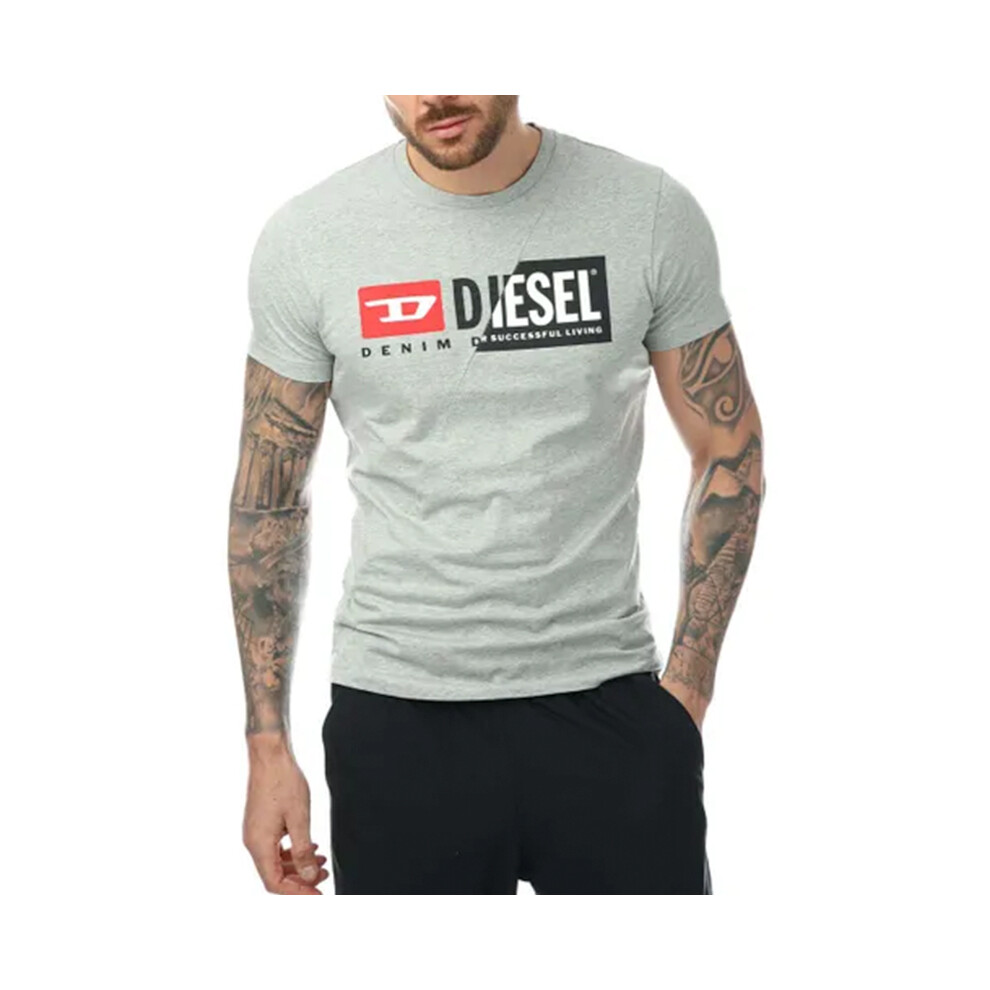 (M, Grey) DIESEL T DIEGO CUTY Mens T Shirt