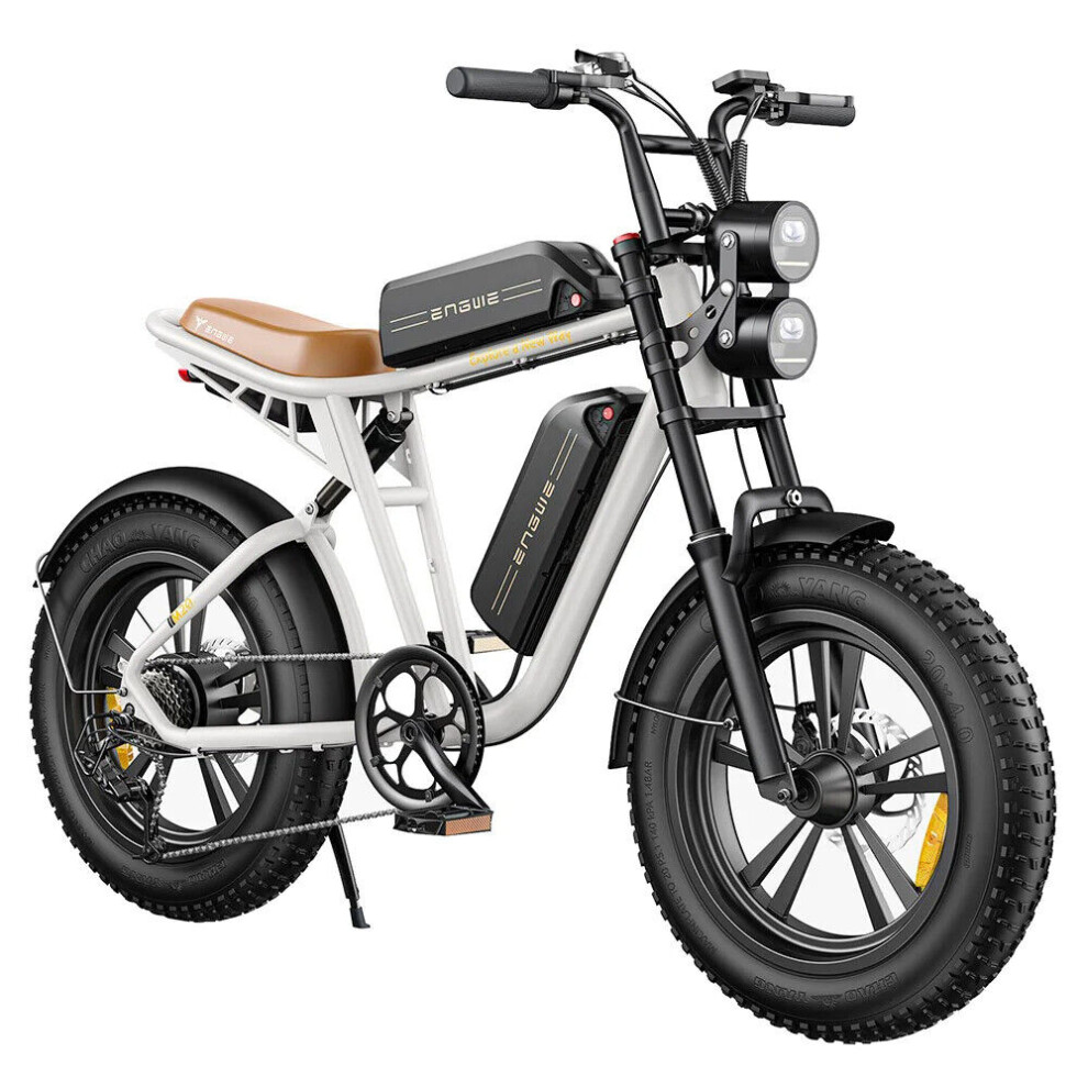 ENGWE M20 Electric Bike W750 25KM/H for Adults, Dual 13AH E-bike