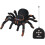 Wireless Remote Control Spider - Giant Tarantula #4503 1