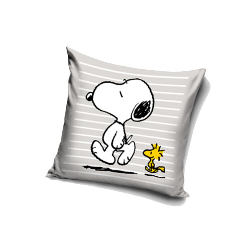 Snoopy Peanuts Snoopy & Woodstock Cushion