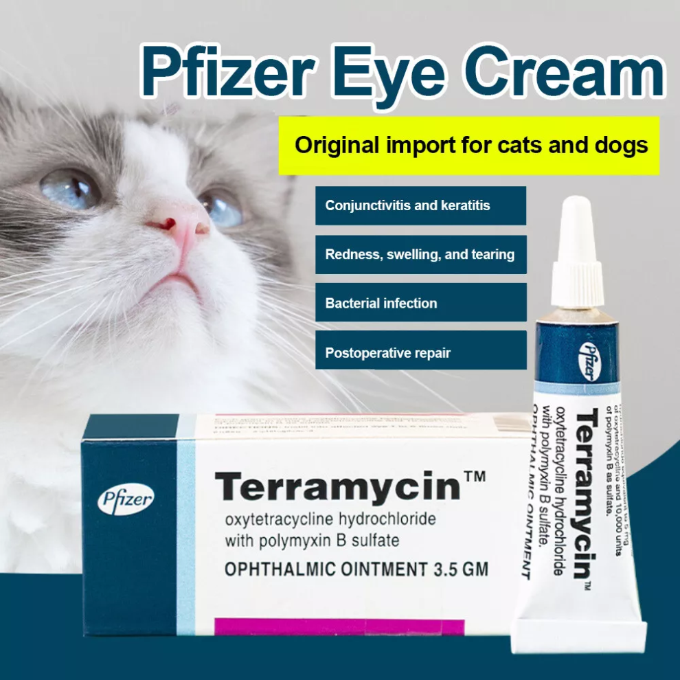 NEW  Pet Cat Dog Eye Ointment Corneal Inflammation Eye Ointment