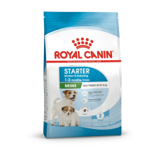 Royal Canin Mini Starter Mother & Babydog Food Vitamin Nutritional 4kg