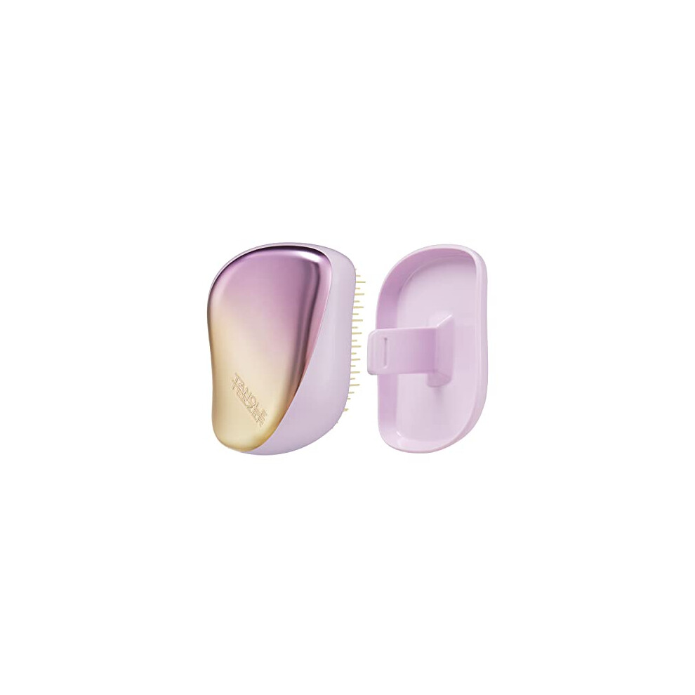 | The Compact Styler Detangling Hairbrush | Travel-Friendly with Protective Cover & Two-Tiered Teeth Design | Perfect for Wet, Dry & Flyaway Hair |
