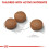 Royal Canin Royal Canin CCN Medium Digestive Care Digestibility Prebiotic 12kg 6