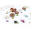 Asmodee Tokaido Asmodee Board Game 7