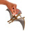 Jurassic World Tupandactylus Dangerous Dinosaur with Moving Joints for Children Aged 4 and Up 2