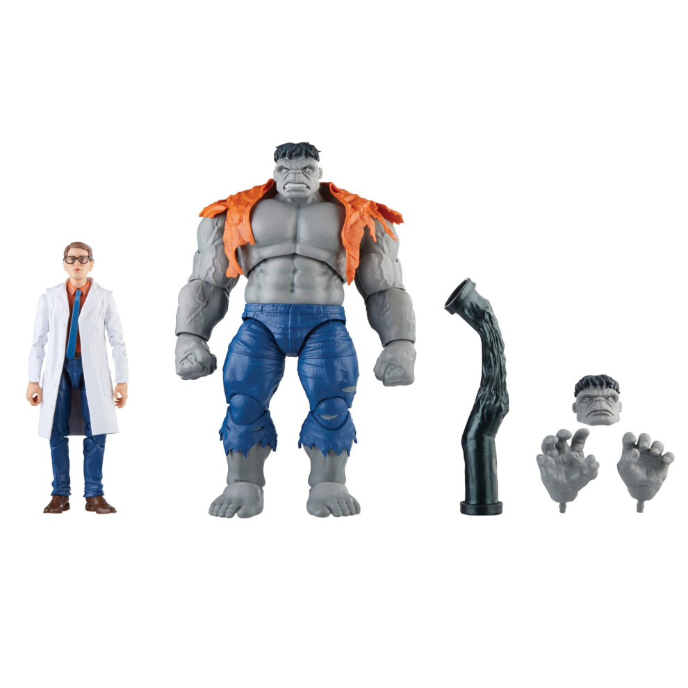 Hasbro Legends Series Gray Hulk and Dr. Bruce Banner, Avengers 60th Anniversary Collectible 6 Inch Action Figures