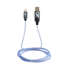 Light-Up Phone Charging Cable - cUSB