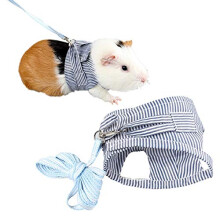 Small Animal Harness Leash Ferret Harness Outdoor Walking Vest Harness for Chinchilla Rat Squirrel Hedgehog Ferret Outdoor Walking Clothes (Blue S)