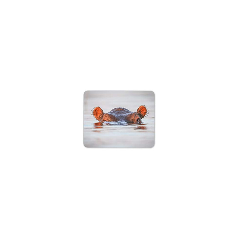 Hippopotamus Mouse Mat Pad - Wild Animal Africa Hippo Computer #15643 7625845504402