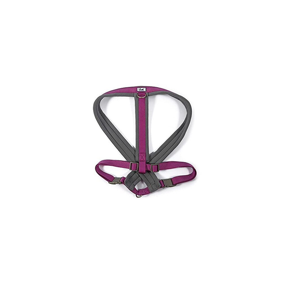 Ancol Viva Padded Harness Xl 70-98Cm Purple
