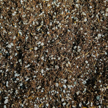 Premium Succulent and Cacti Potting Mix - Enhanced with Activated Biochar (2L)