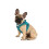 Original Snappy Dog Harness (Coal, 1-2) 3