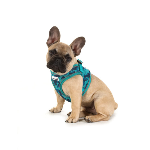 Original Snappy Dog Harness (Coal, 1-2) 2