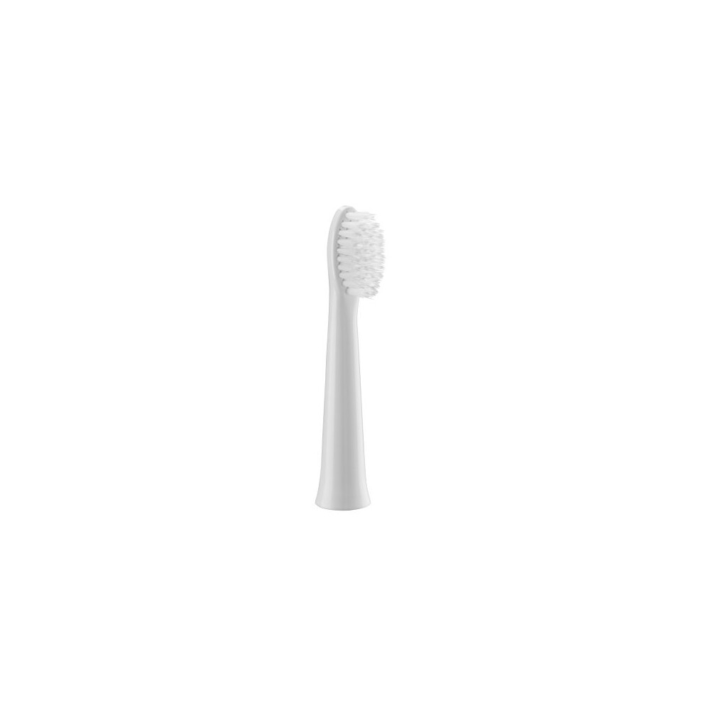 WEW0972W503 Extra Fine Toothbrush Heads Compatible with EW-DM81 Series Electric Toothbrush