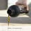 Cold Brew Coffee Wine Bottle, 650ml, Black 4