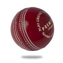 Cricket Ball Premier Red Leather 156g (1-Pack) for Seniors Match