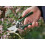 Spear & Jackson Kew Razorsharp Heavy Duty Bypass Secateurs 3