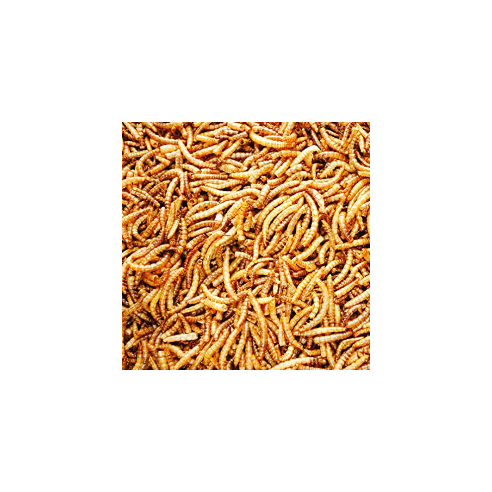 Uk Grow - 3L - Premium Value Dried Mealworms (3L)