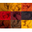 Merino Wool Tops -FIRE TONES - Pack of 9 1