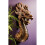 the Fire Dragon Wall Sculpture 4