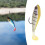6PCS Fishing Lures Silicone Soft Swimbait 3D Paddle Tail Simulation Bait Fishing Tackle for Freshwater Saltwater Target Bass Trout Walleye Pike Snook 5