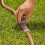 Gardena Coupling w/Reg. Valve 3
