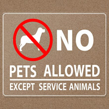 No Pets Allowed Sign 20 x 15 cm Self adhesive Vinyl Stickers for Window Door Removable 2 Pack