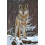 '2 Tier Post Cards No. 10638: Proud Wolf 2