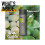 KMS HairPlay Dry Wax 150ml 4