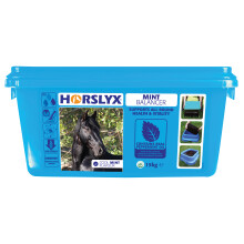 Horslyx Balancer Lick Mint Balancer All-Round Health & Vitality 15kg