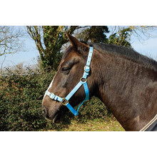 Nylon Headcollar - Pony - Baby Blue