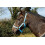 Nylon Headcollar - Pony - Baby Blue 1