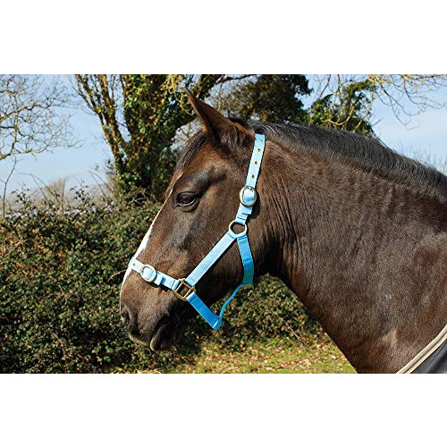 Nylon Headcollar - Pony - Baby Blue