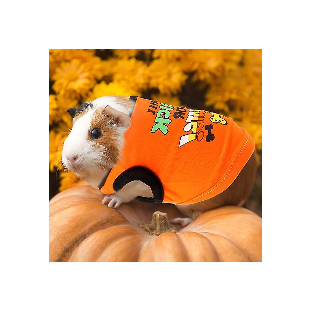 cute guinea pig shirts