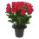 URBN Living (Rosebud Red) Artificial Rose Flower in Black Planter 1