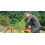 Einhell Einhell Orbital Sander 400W Rotating Eccentric Sanding Tool TE-RS 40 E Electric 9