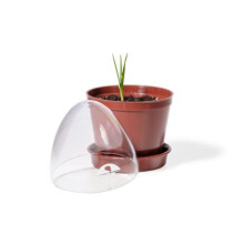 Propagation Pots Set of 6, Without Storage Box, 6 er Set